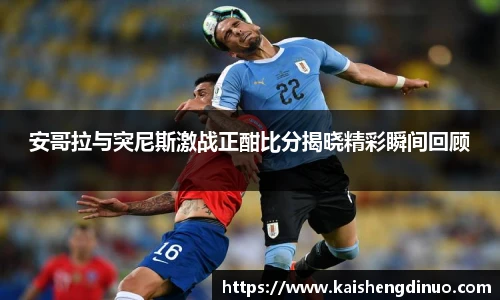 xc体育官方网站