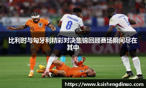 比利时与匈牙利精彩对决集锦回顾赛场瞬间尽在其中